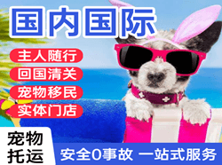 淮安涟水机场托运国际宠物托运 【国